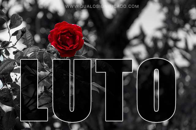 Luto imagens - http://mundo.domitilapinturas.pt